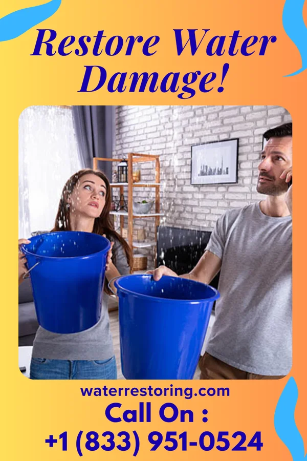 water restoration Hawk Water Mitigation Services McComb