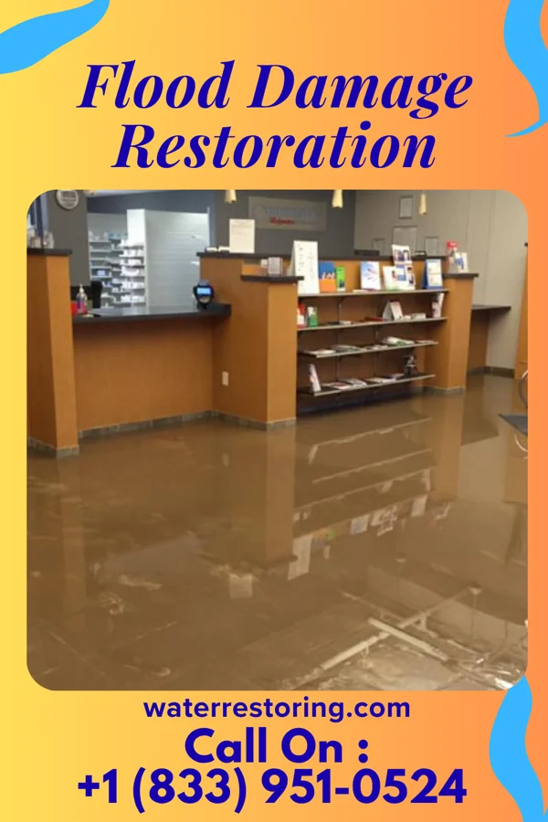 Flood Damage Restoration in McComb, MS